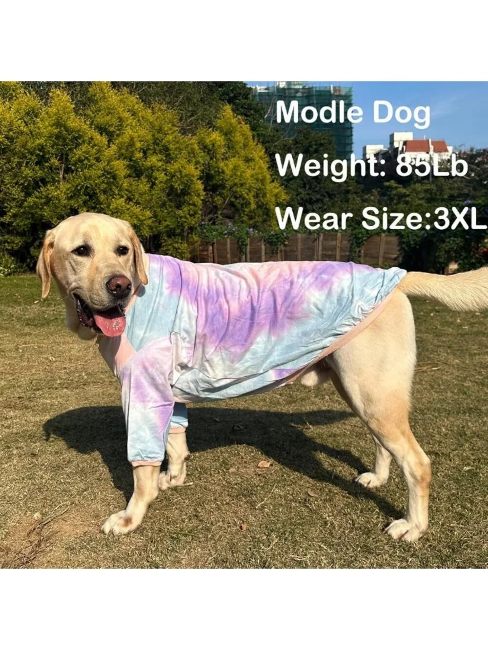 Colorful Tie Dye Dog T-Shirt - Soft, Stretchy, Breathable Pet Pajamas for Large